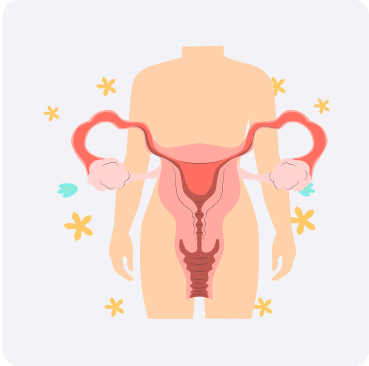 Obstetrics &<br/>Gynaecology